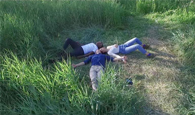 Dutch Filmers Academy